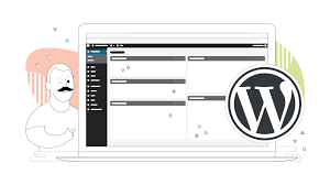 Use SEO Plugins (For CMS Sites Like WordPress)